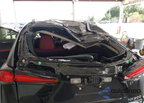 2021 Lexus Nx 300 z USA, uszkodzony, nr VIN JTJDARBZ7M2194287